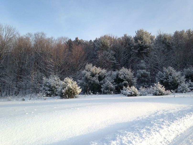 Tioga_114_Flacco Photo 85