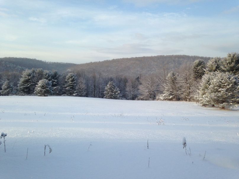 Tioga_114_Flacco Photo 91