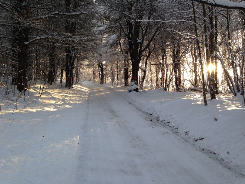 Tioga_114_Flacco Photo 94