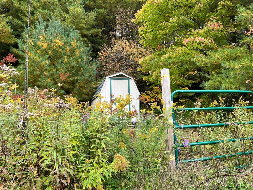 Tioga_114_Flacco Photo 79