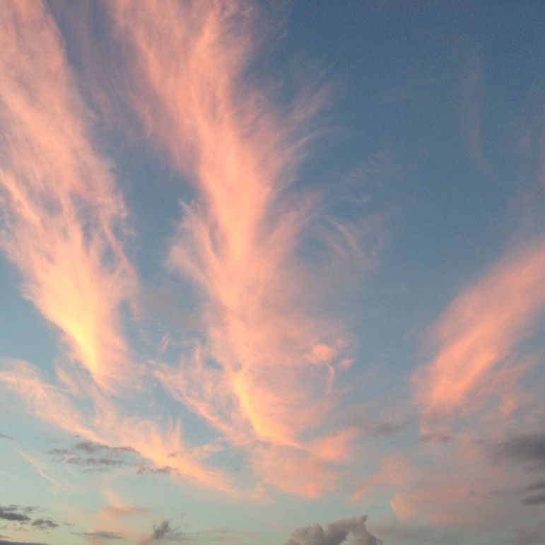 Tioga_114_Flacco Photo 108