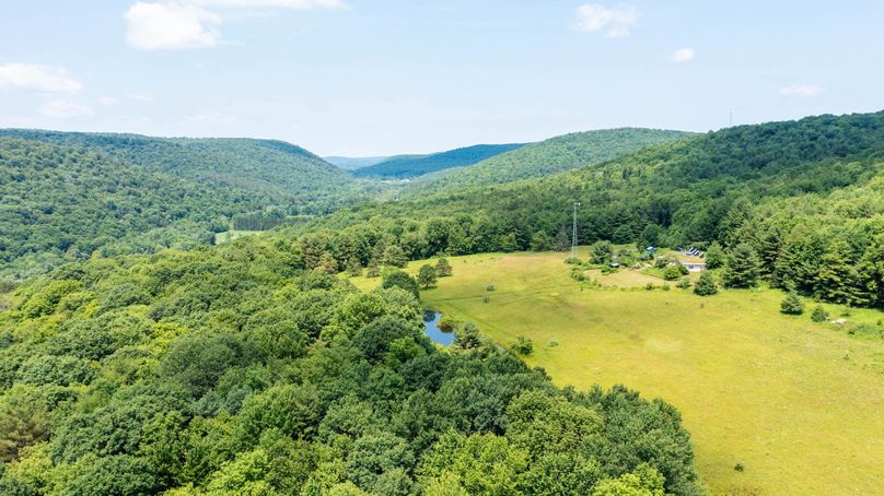 Tioga_114_Flacco Photo 51