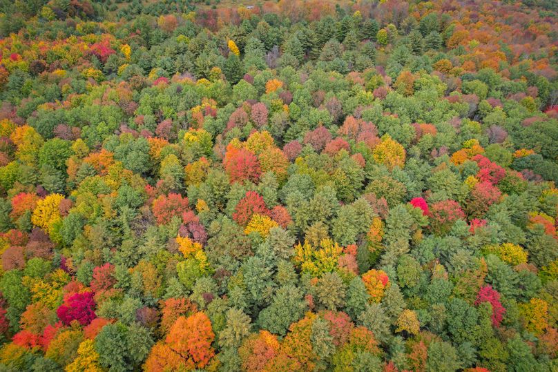 Tioga_114_Flacco Photo 82 a 