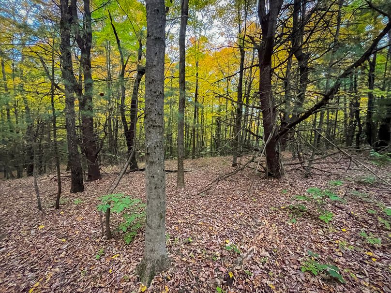 Tioga_114_Flacco Photo 40