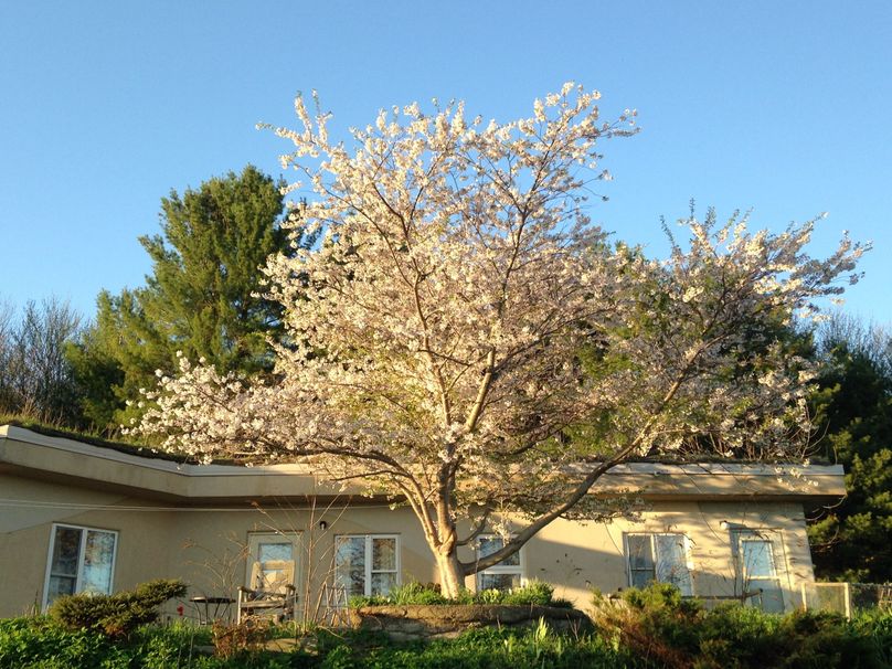 Tioga_114_Flacco Photo 17