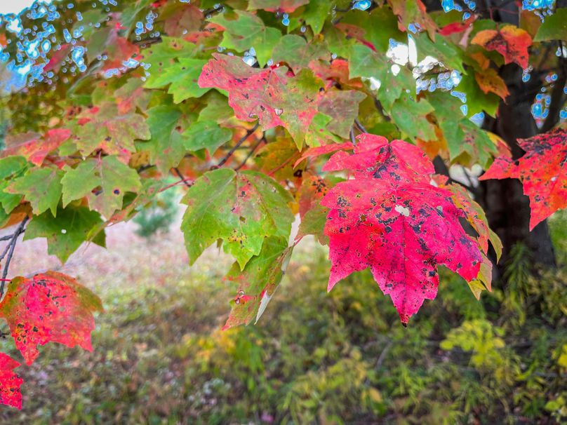 Tioga_114_Flacco Photo 72