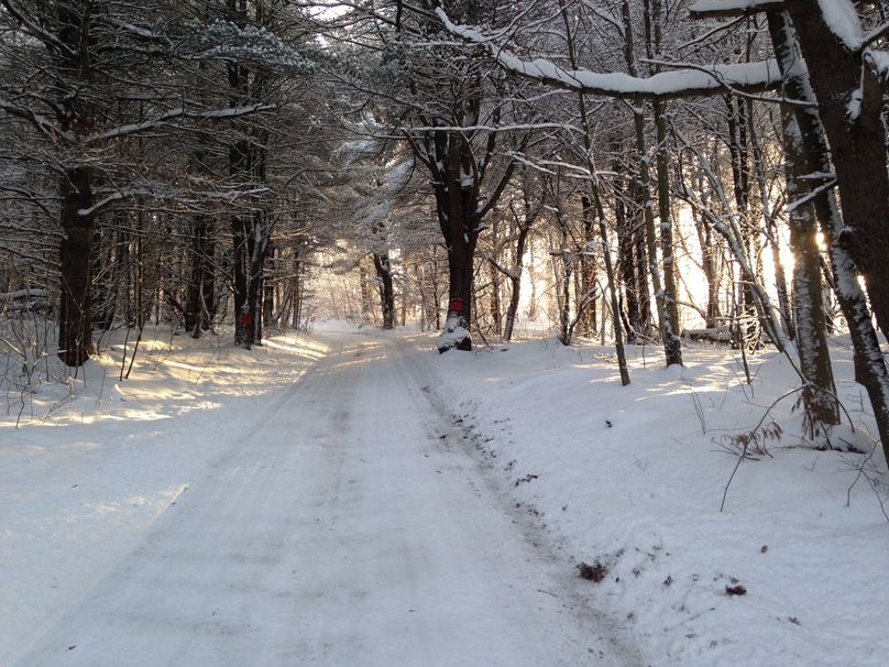 Tioga_114_Flacco Photo 86