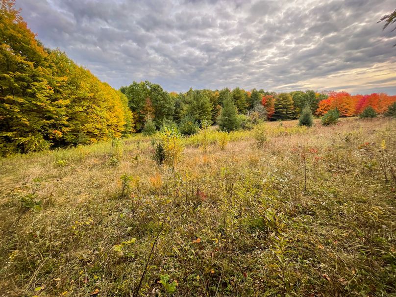 Tioga_114_Flacco Photo 67