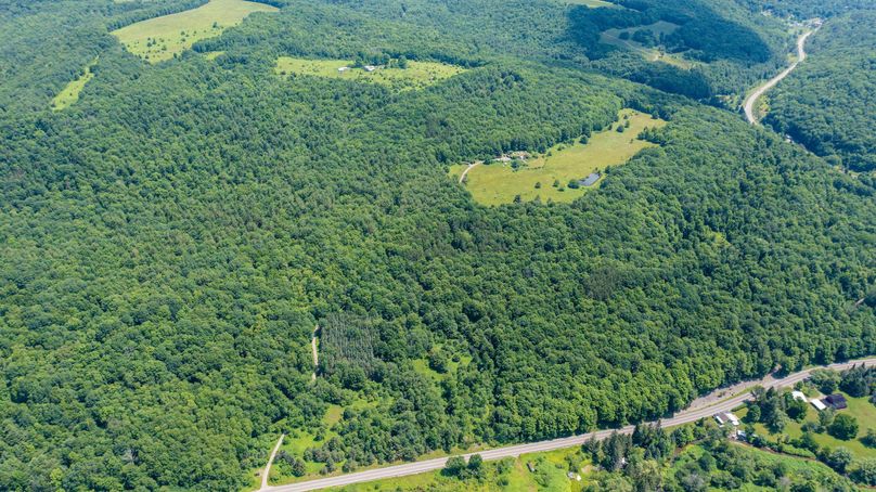 Tioga_114_Flacco Photo 58