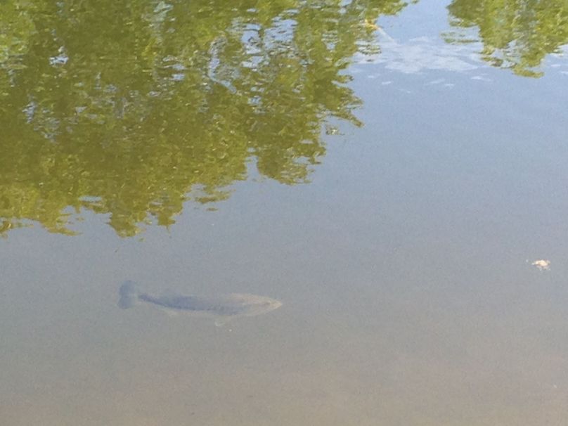 Tioga_114_Flacco Photo 103