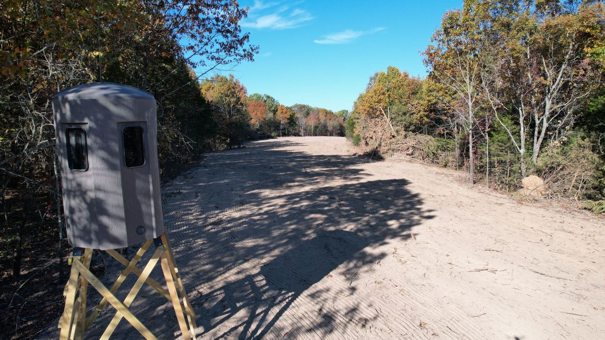 Food Plots, Trails, Timber Value, and Tower Blind Near Meramec River
