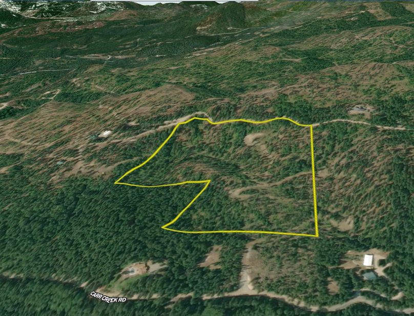 Bonner 29.7 Heinrich 4