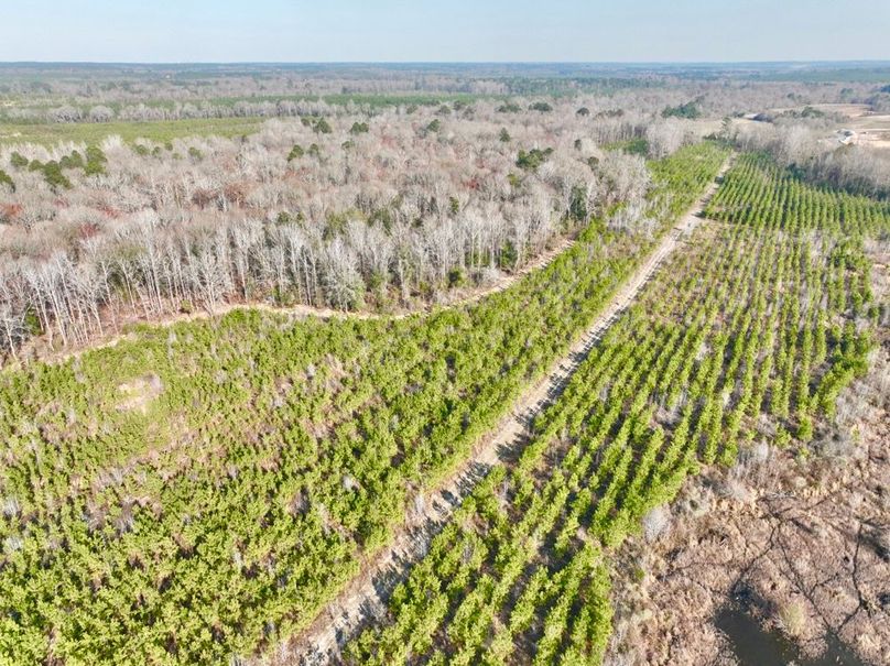 dji_fly_20250225_160600_445_1740517924354_photo