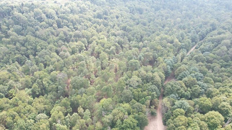 dji_fly_20250806_151952_616_1754528903595_photo