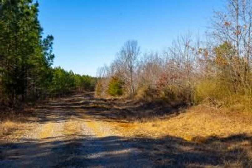 MCKINNON TRACT 17-05