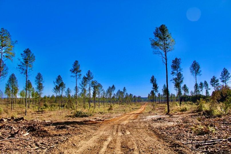 8796772D-50F9-4A1E-A40D-2B38C701D817_1_201_a