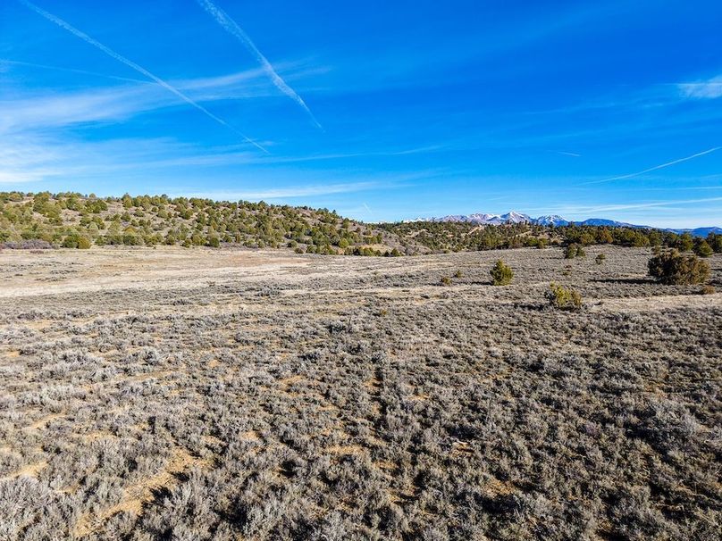 DJI_20260312092508_0157_D