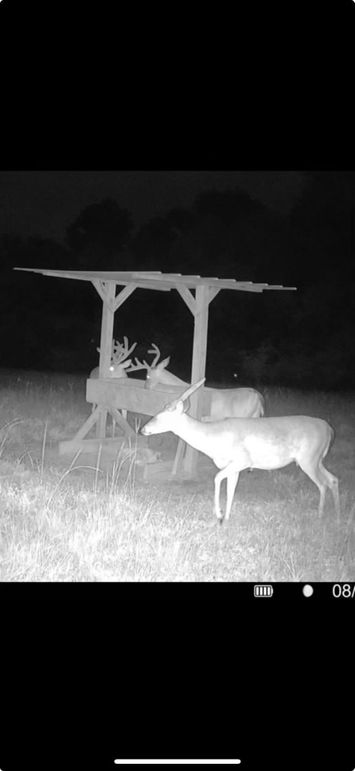 Screenshot 2025-08-12 at 7.57.19 AM