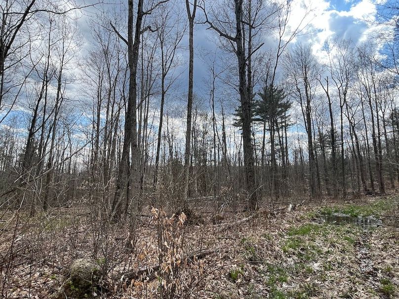Chemung_100_Nye Photo 18