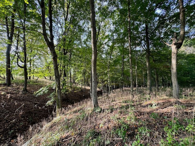 Richland 199Ground - 50