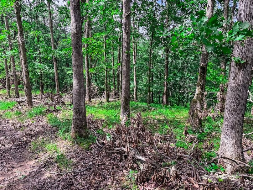 Wirt, WV 137.45 AC Full-54