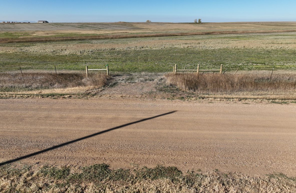 003 Gate-typical of property