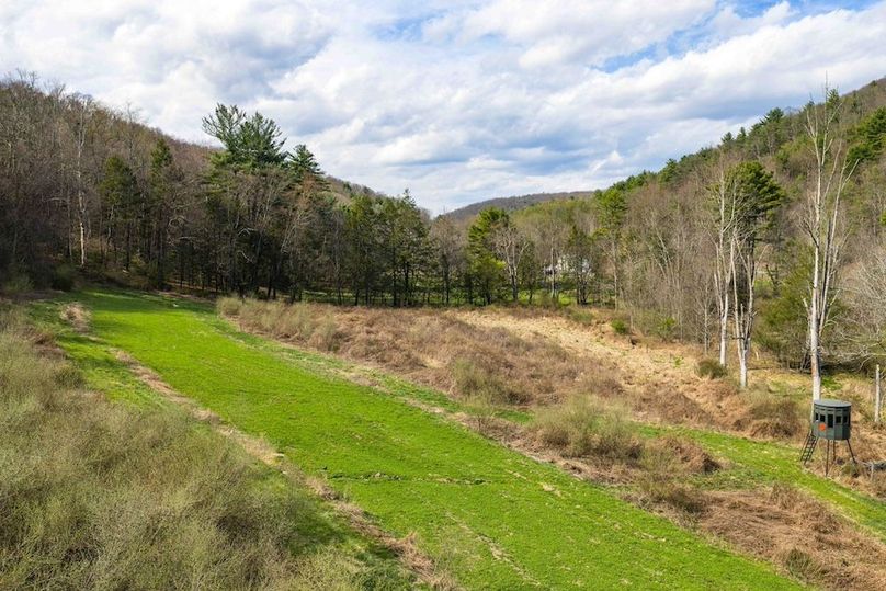 30-web-or-mls-IMG-30