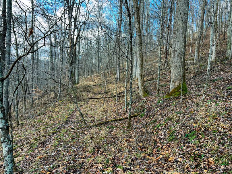 Calhoun, WV 70.14 AC Metz_Greathouse-41