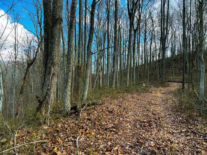 Calhoun, WV 70.14 AC Metz_Greathouse-21