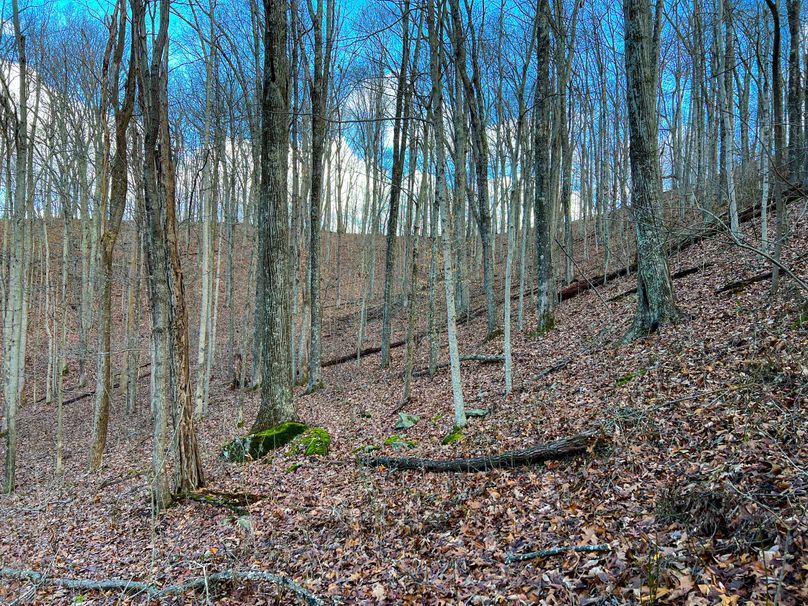 Calhoun, WV 70.14 AC Metz_Greathouse-31