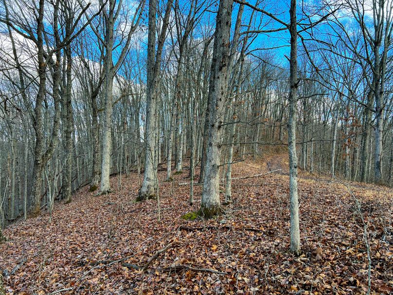 Calhoun, WV 70.14 AC Metz_Greathouse-30