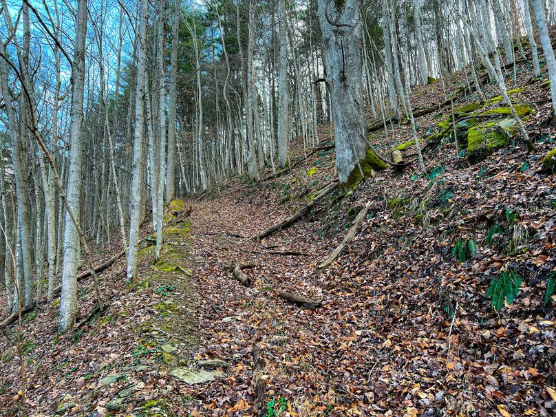 Calhoun, WV 70.14 AC Metz_Greathouse-06