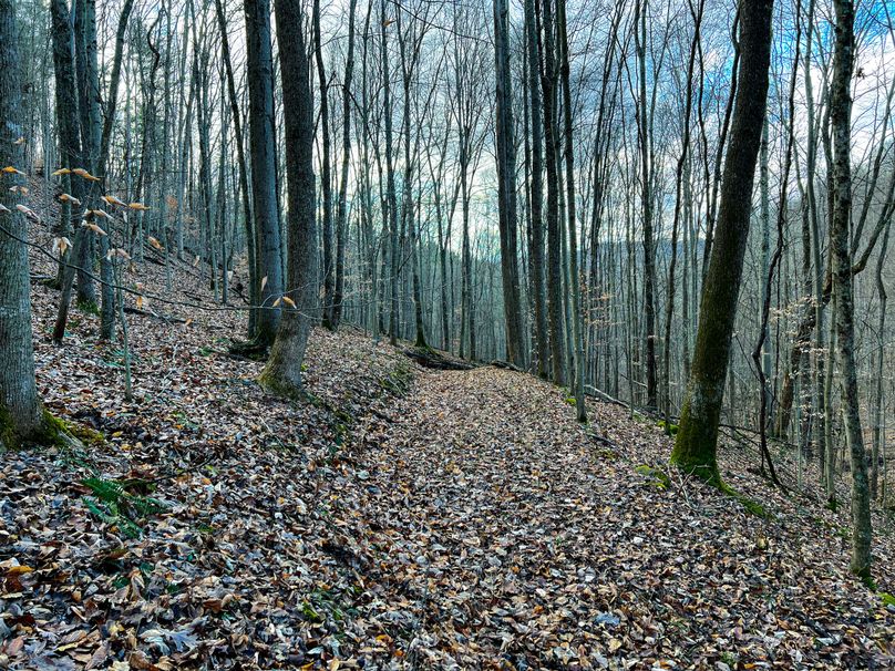 Calhoun, WV 70.14 AC Metz_Greathouse-33