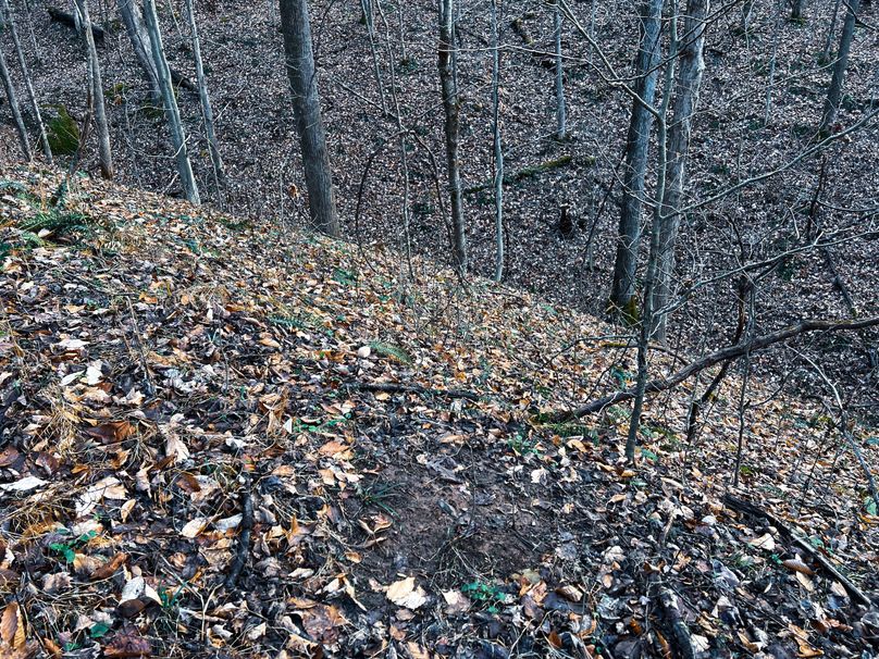 Calhoun, WV 70.14 AC Metz_Greathouse-36