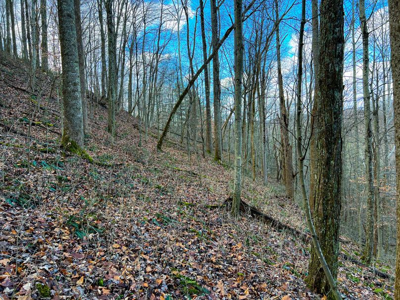 Calhoun, WV 70.14 AC Metz_Greathouse-25