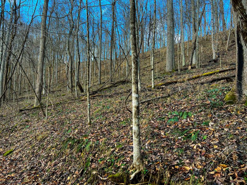 Calhoun, WV 70.14 AC Metz_Greathouse-38