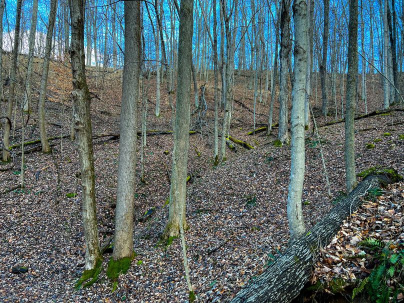 Calhoun, WV 70.14 AC Metz_Greathouse-34