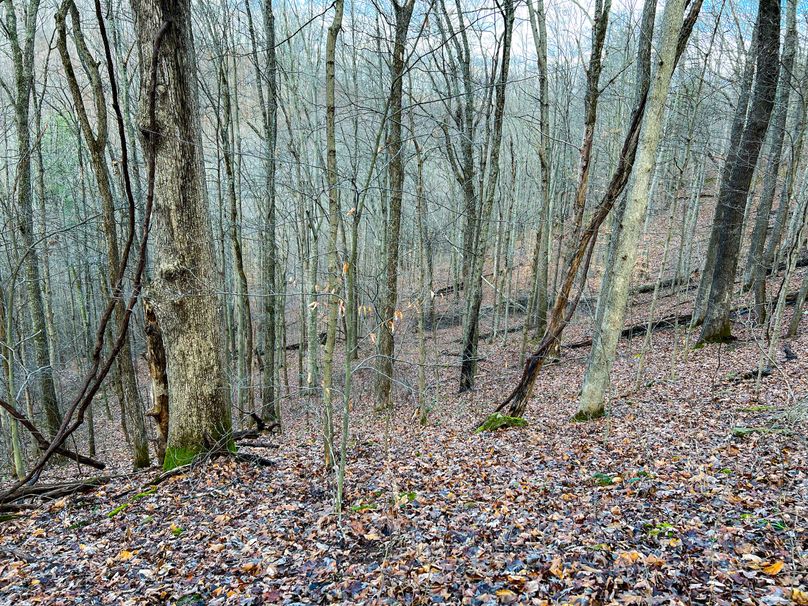 Calhoun, WV 70.14 AC Metz_Greathouse-28