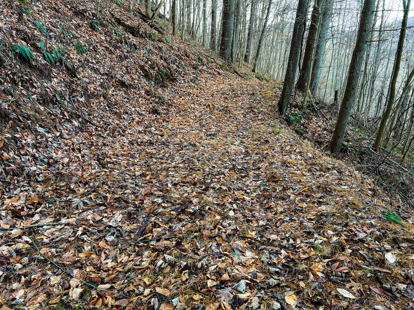 Calhoun, WV 70.14 AC Metz_Greathouse-09