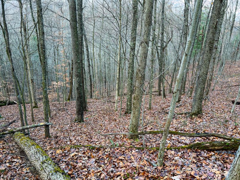 Calhoun, WV 70.14 AC Metz_Greathouse-29