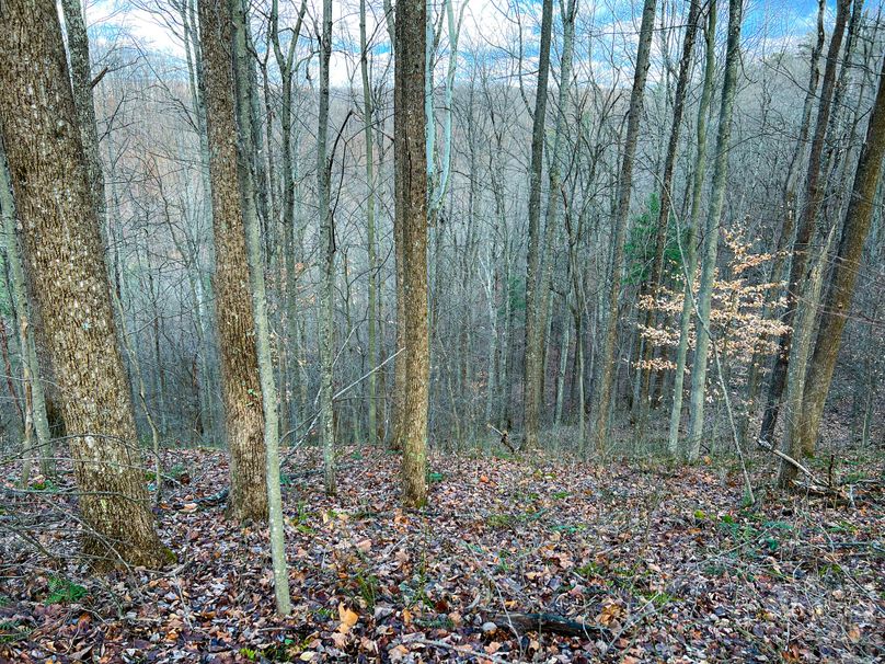 Calhoun, WV 70.14 AC Metz_Greathouse-22