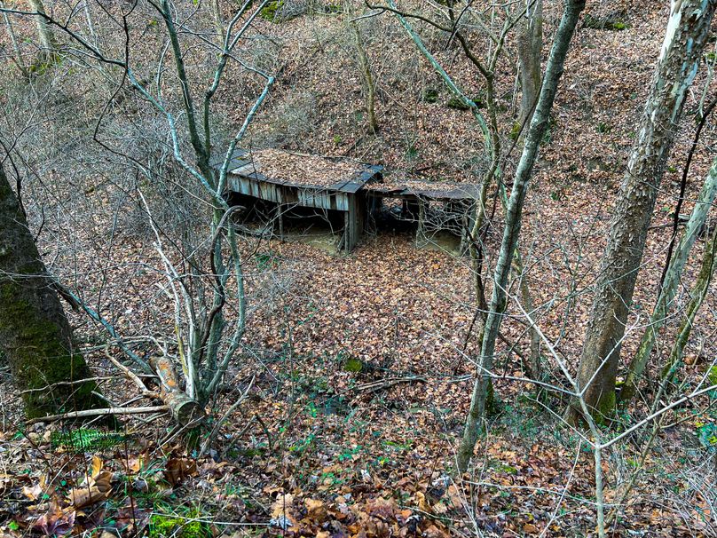 Calhoun, WV 70.14 AC Metz_Greathouse-03