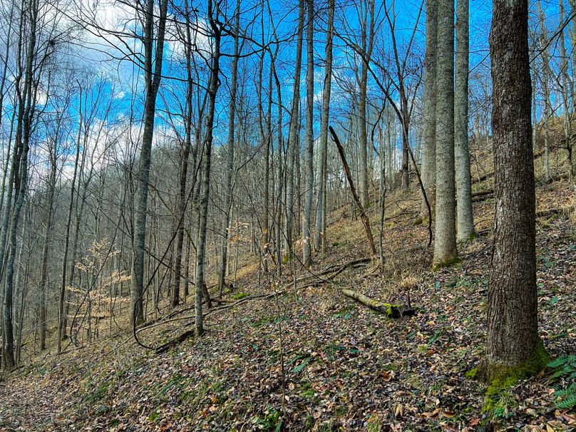 Calhoun, WV 70.14 AC Metz_Greathouse-35