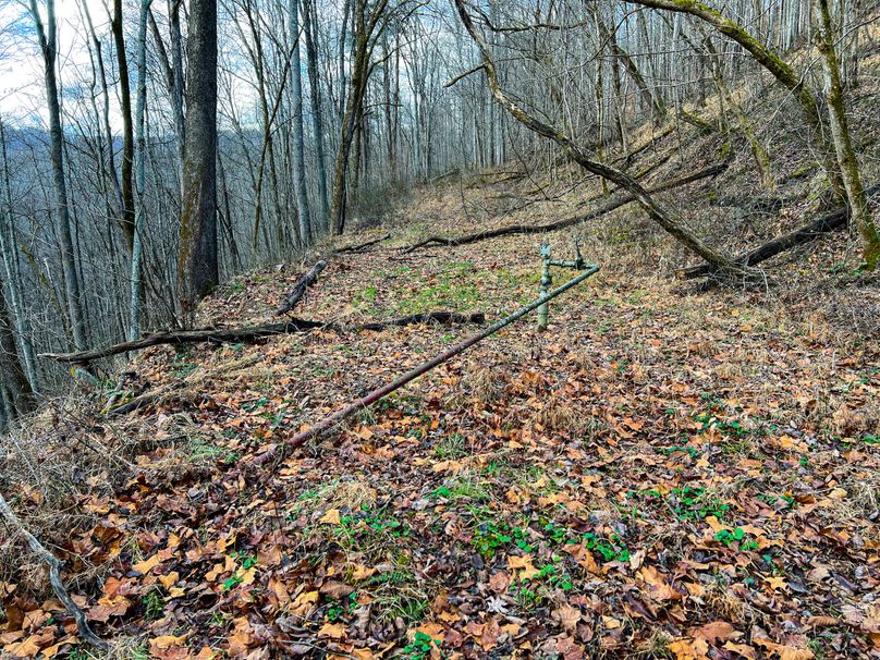 Calhoun, WV 70.14 AC Metz_Greathouse-39