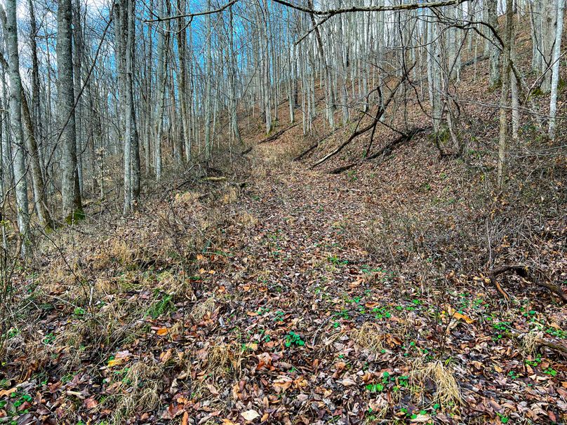 Calhoun, WV 70.14 AC Metz_Greathouse-40