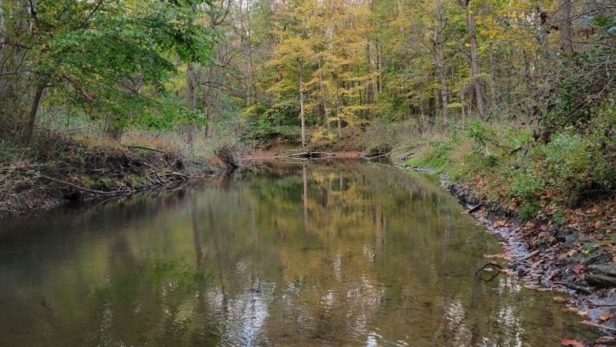 Small Recreational Property With Frontage On The Little Shenango River