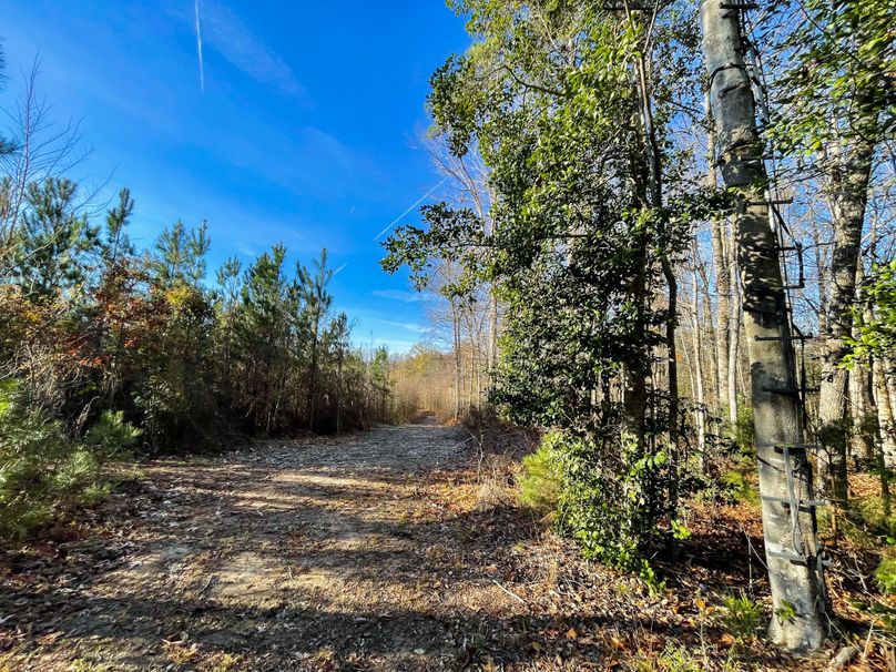 Willowbank Plantation Whitetail Properties