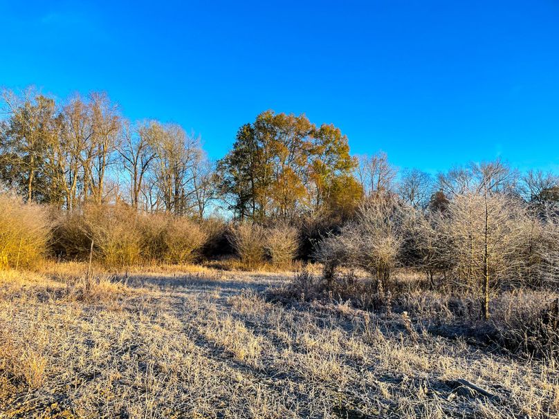 Willowbank Plantation Whitetail Properties