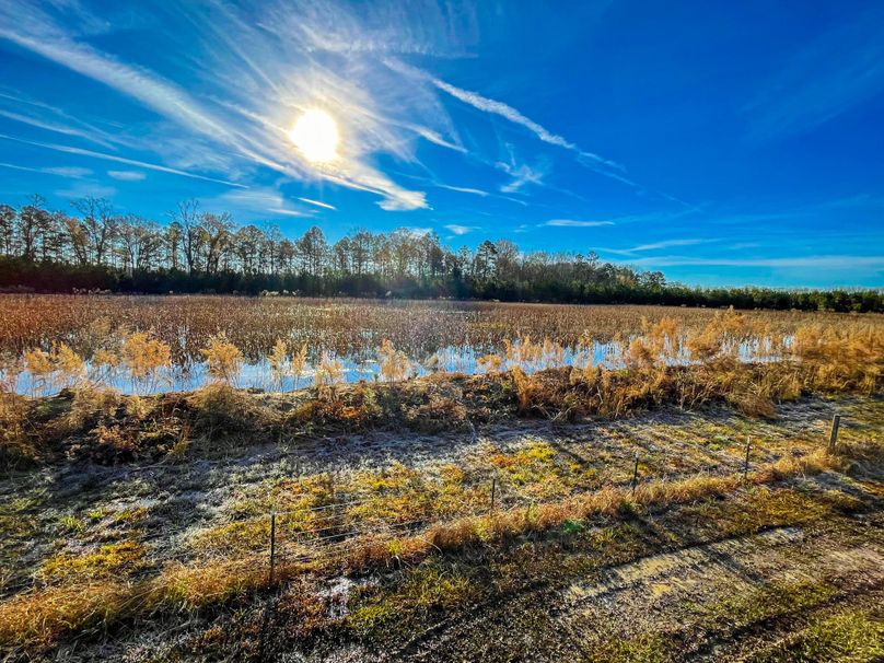 Willowbank Plantation Whitetail Properties