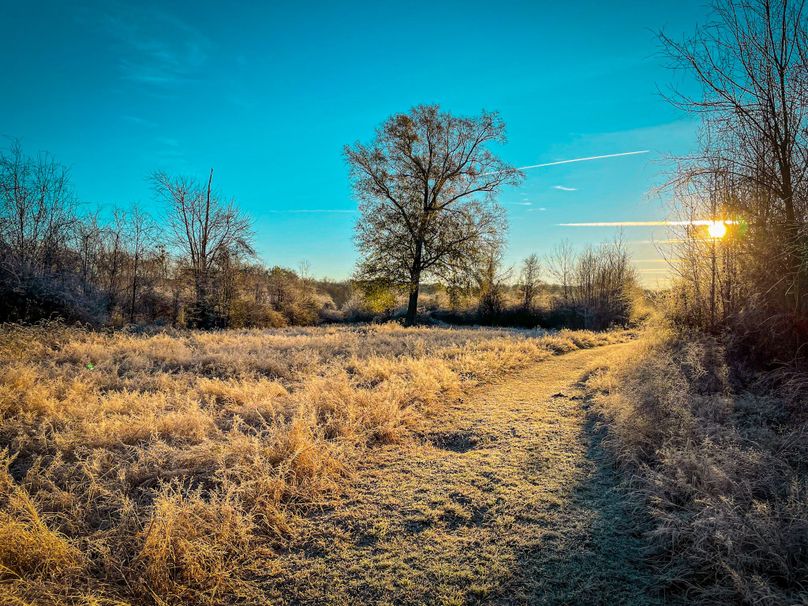 Willowbank Plantation Whitetail Properties